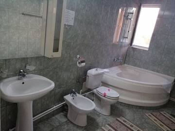 Фото номера Улучшенный трехместный номер Отель Hotel Green House г. Крайова 3