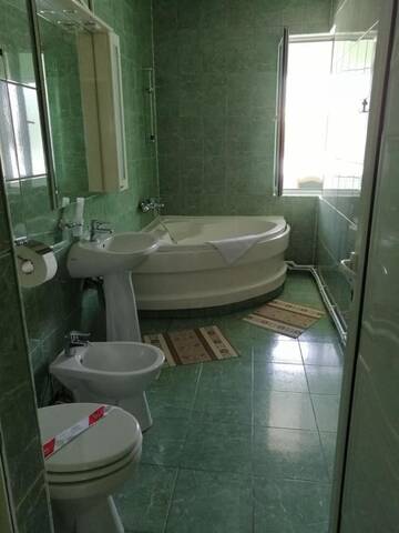 Фото номера Улучшенный двухместный номер с 1 кроватью Отель Hotel Green House г. Крайова 3
