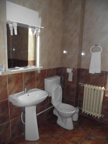 Фото номера Двухместный номер с 1 кроватью Гостевой дом Villa Carmelita г. Крайова 13