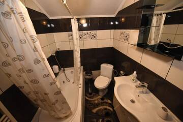 Фото номера Двухместный номер Делюкс с 1 кроватью Гостевой дом Rixo`s GuestHouse г. Крайова 15