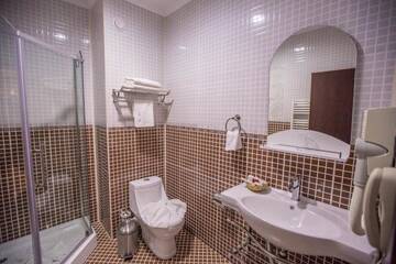 Фото номера VIP-люкс Отель Hotel Meliss г. Крайова 11