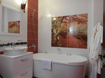 Фото номера Двухместный номер Делюкс с 1 кроватью Гостевой дом La Favorita Guesthouse Boutique г. Крайова 9
