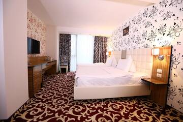 Фото номера Улучшенный двухместный номер с 2 отдельными кроватями Отель Hotel Articus г. Крайова 12
