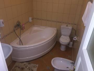 Фото номера Двухместный номер с 1 кроватью или 2 отдельными кроватями Гостевой дом Pensiunea Luisa г. Крайова 29