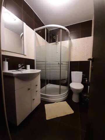 Фото номера Двухместный номер с 1 кроватью Гостевой дом Casa Flamingo г. Крайова 3