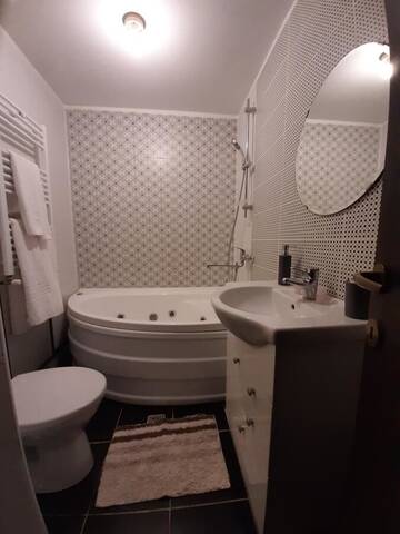 Фото номера Номер Делюкс (для 2 взрослых и 1 ребенка) Гостевой дом Casa Flamingo г. Крайова 8
