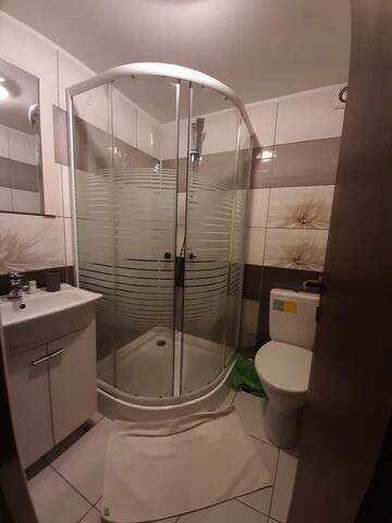Фото номера Номер Делюкс Гостевой дом Casa Flamingo г. Крайова 3