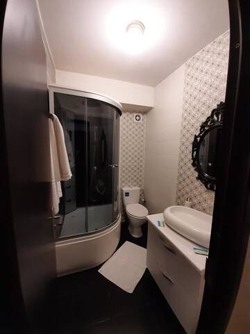 Фото номера Номер Делюкс (для 2 взрослых и 1 ребенка) Гостевой дом Casa Flamingo г. Крайова 9