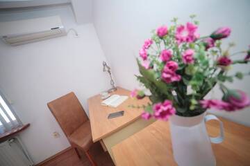 Фото Гостевой дом Vila Plushotel г. Крайова 1