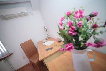 Фото номера Улучшенная вилла Гостевой дом Vila Plushotel г. Крайова 29