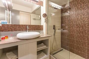 Фото номера Двухместный номер с 1 кроватью или 2 отдельными кроватями Отель Hotel Craiovita г. Крайова 7